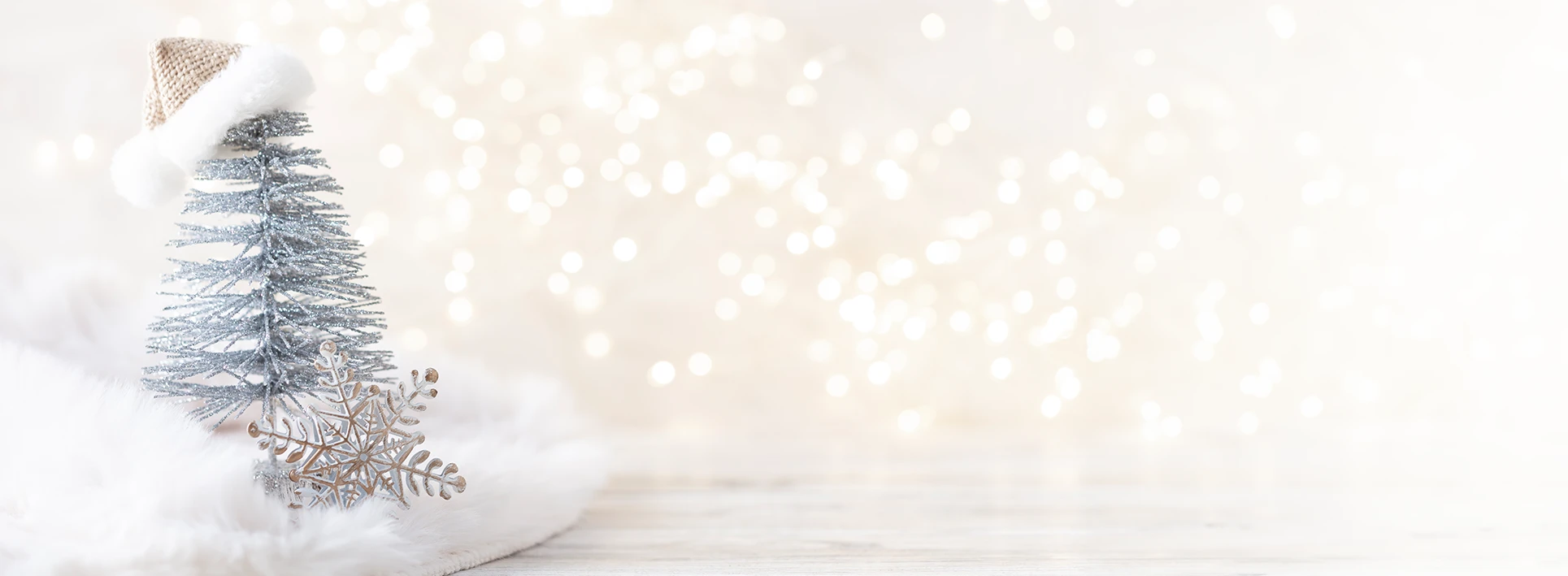 Perfect Christmas gift